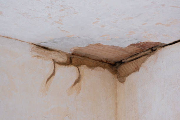 Best Ceiling water damage repair  in Channel Lake, IL