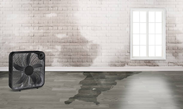 Channel Lake, IL Water damage restoration Company