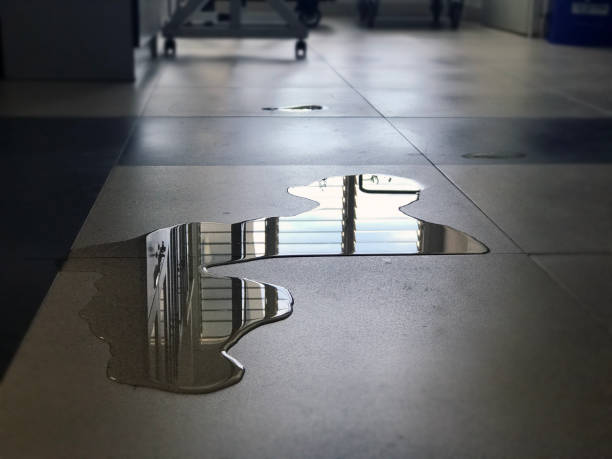 Best 24-hour water damage restoration  in Channel Lake, IL